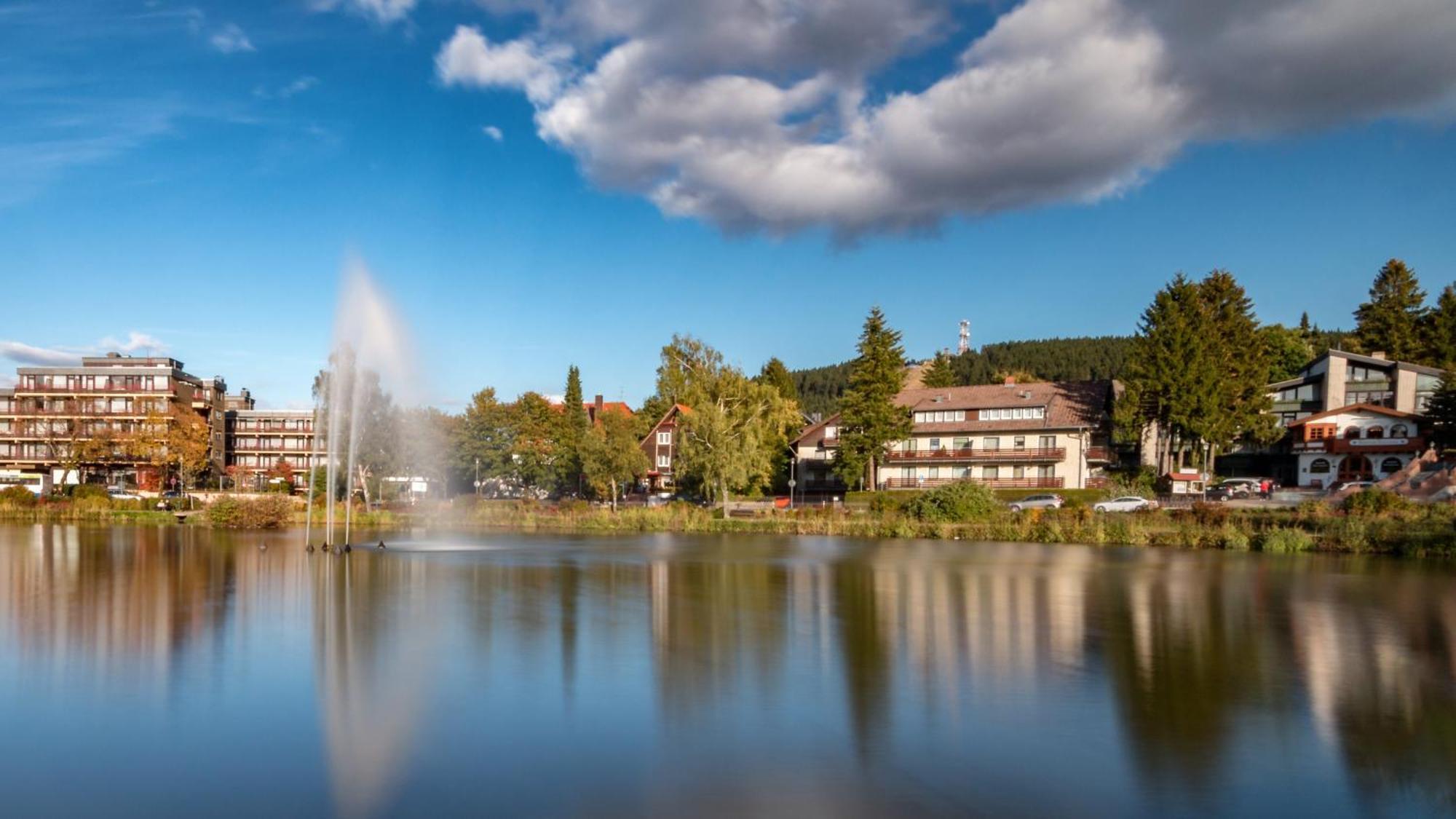 Modern & Vintage Bocksbergblick Ferienpark Hahnenklee Goslar Buitenkant foto